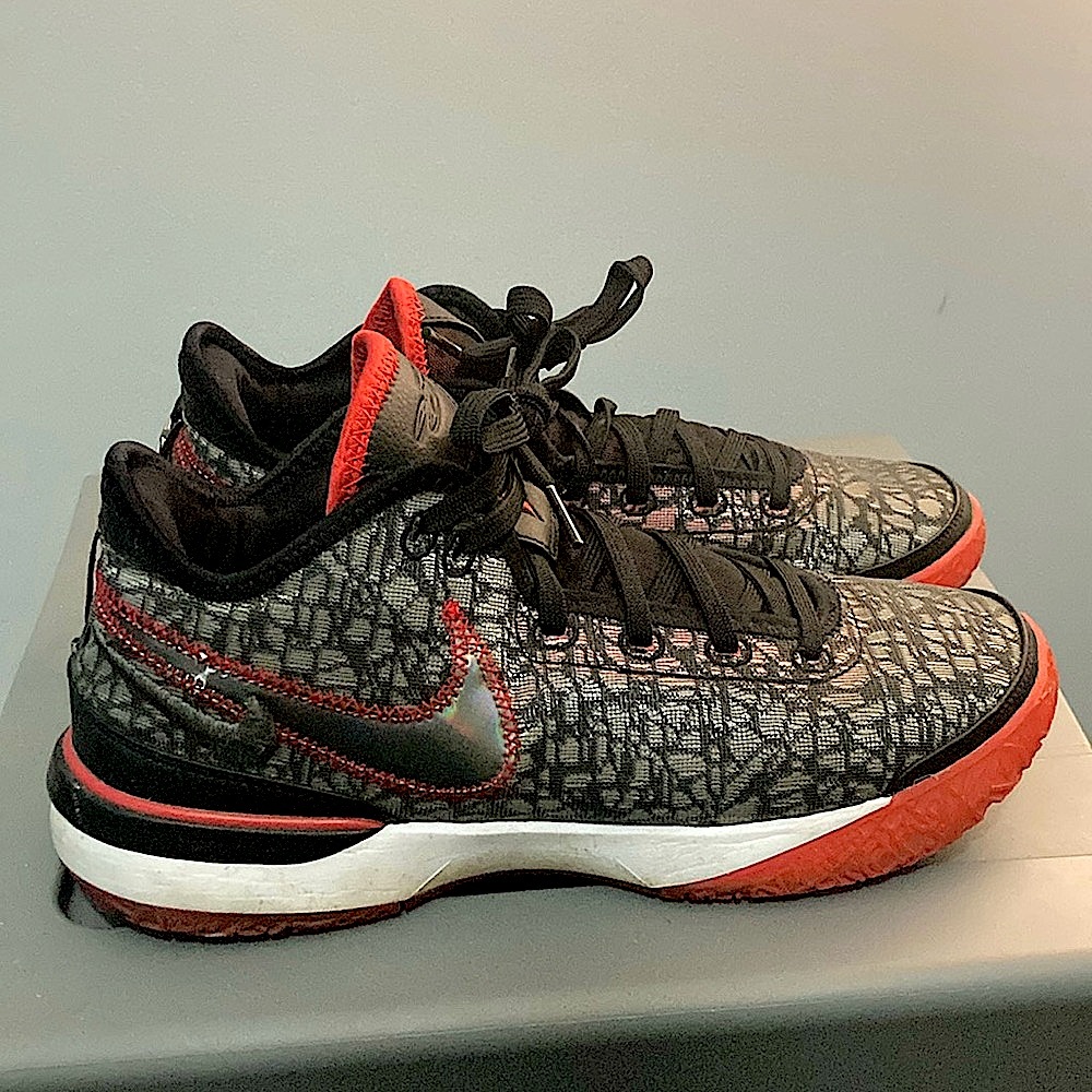 Nike Zoom LeBron NXXT Gen Shoes
